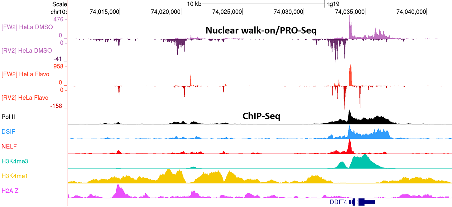 pro-_and_chip-seq image
